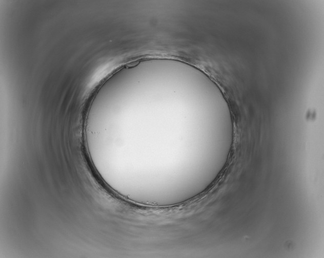 X0000090410005200707272059