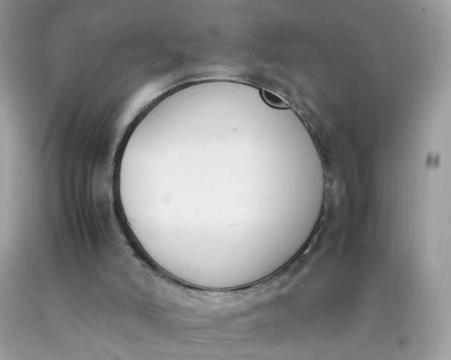 X0000090410006200707272059