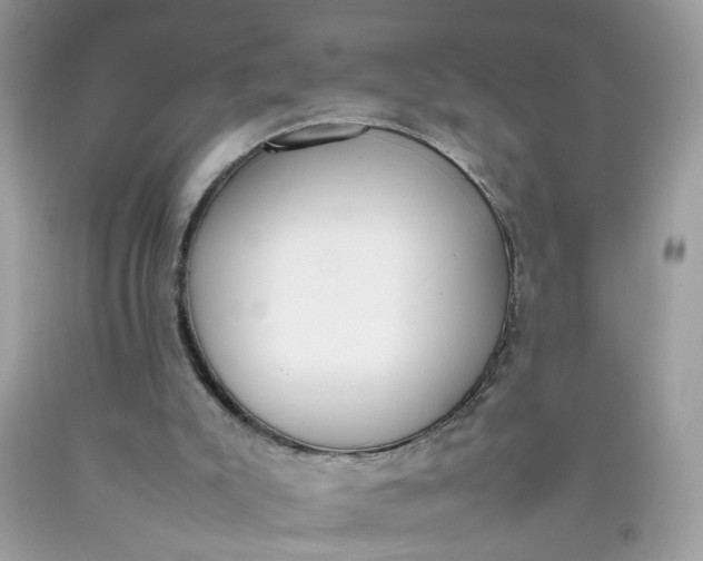 X0000090410007200707272059