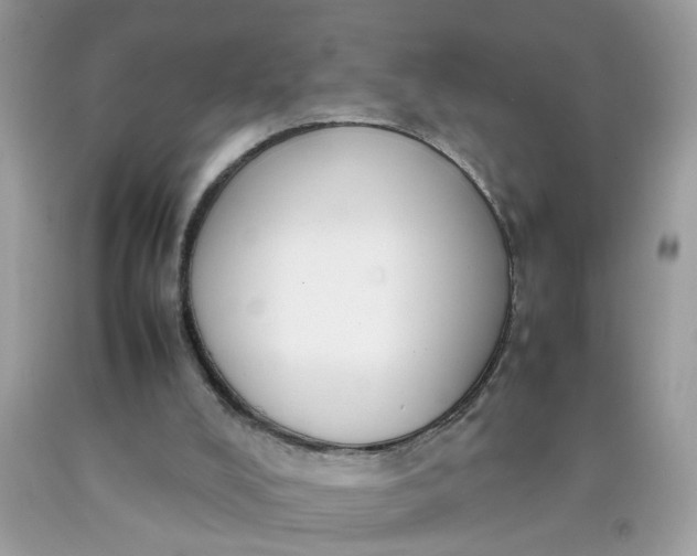 X0000090410008200707272059