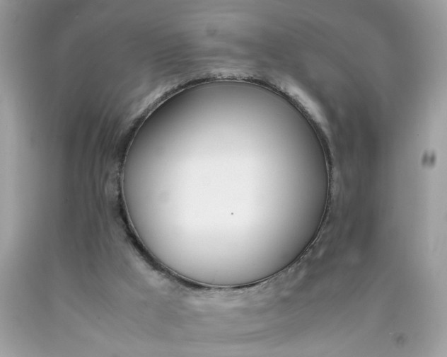 X0000090410009200707272059