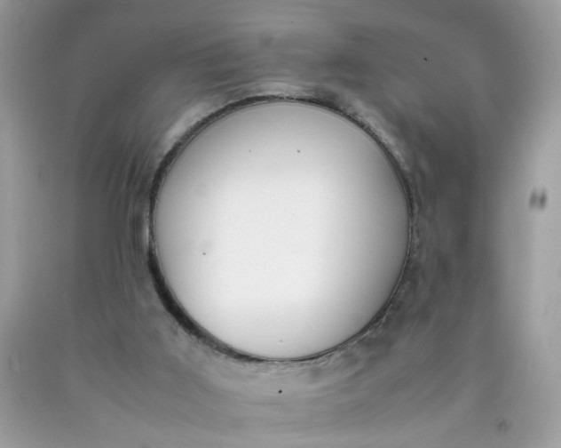 X0000090410011200707272059