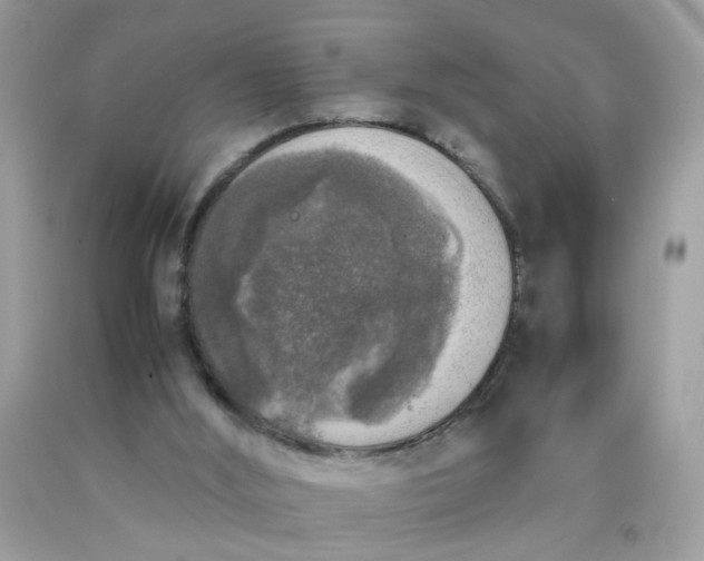 X0000090410012200707272059