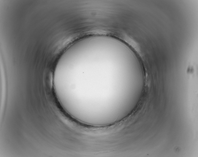 X0000090410013200707272059