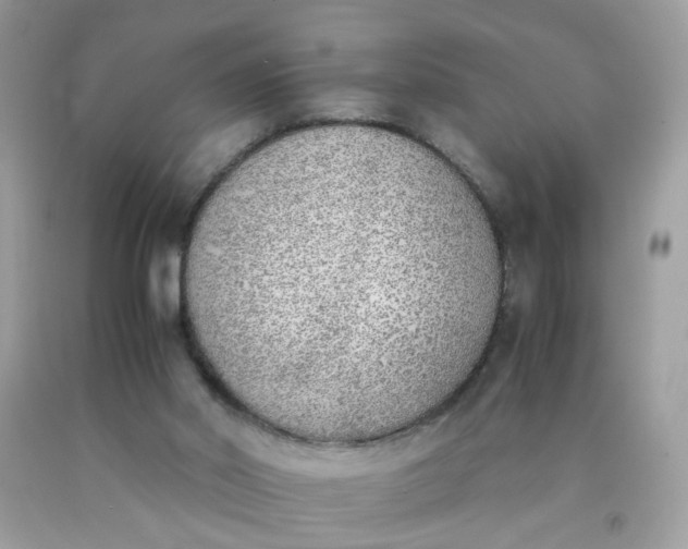 X0000090410014200707272059