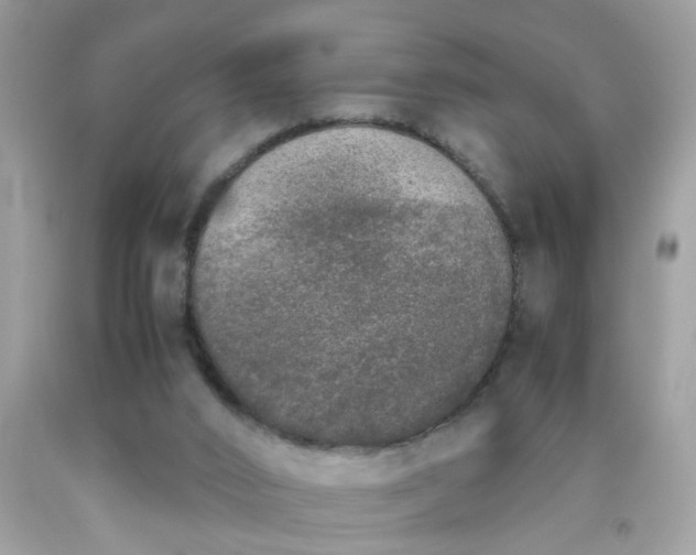 X0000090410016200707272059