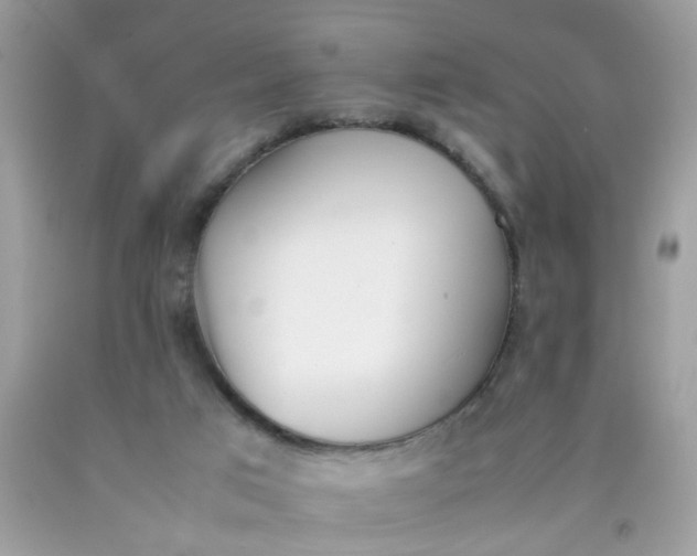 X0000090410017200707272059