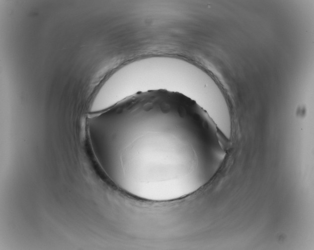 X0000090410019200707272059