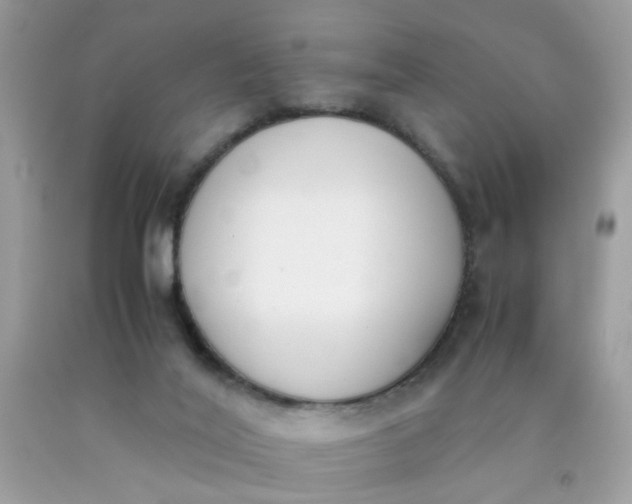 X0000090410020200707272059