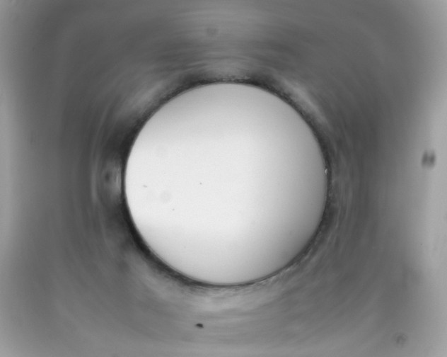 X0000090410021200707272059