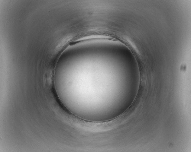 X0000090410023200707272059