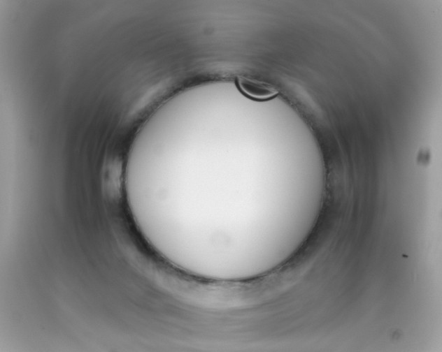 X0000090410024200707272059