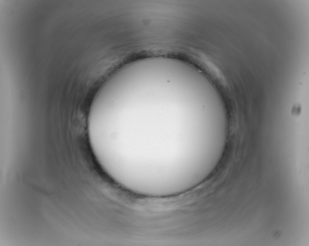 X0000090410025200707272059