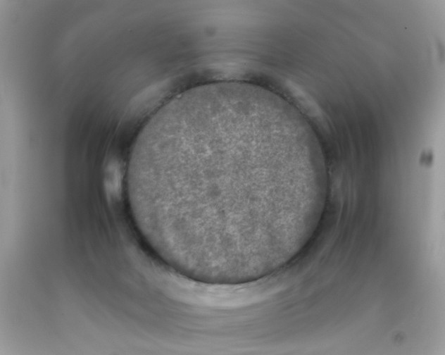 X0000090410026200707272059