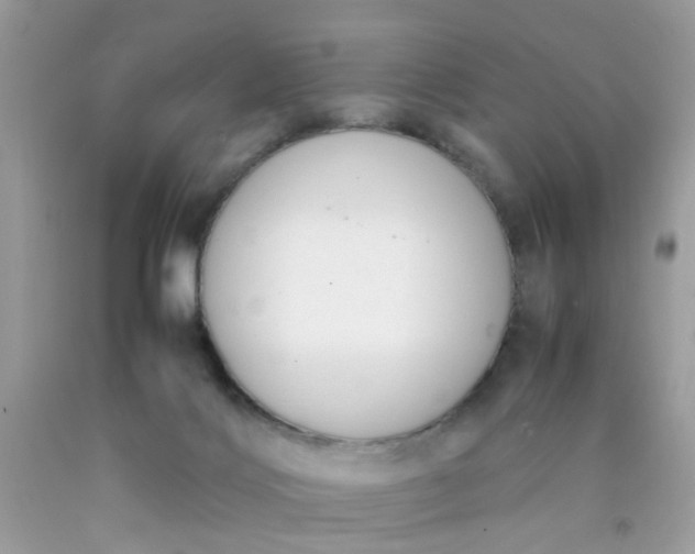 X0000090410028200707272059