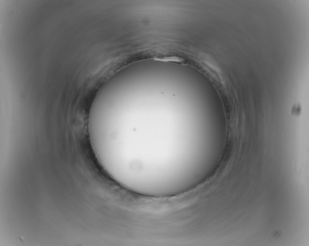 X0000090410029200707272059
