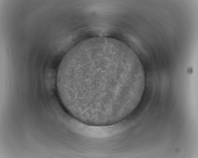 X0000090410030200707272059