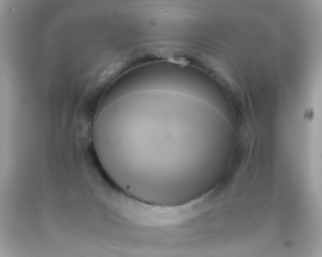 X0000090410031200707272059