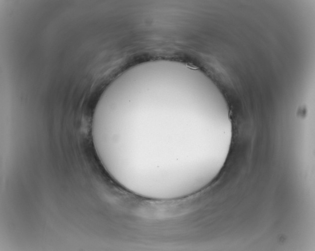 X0000090410033200707272059