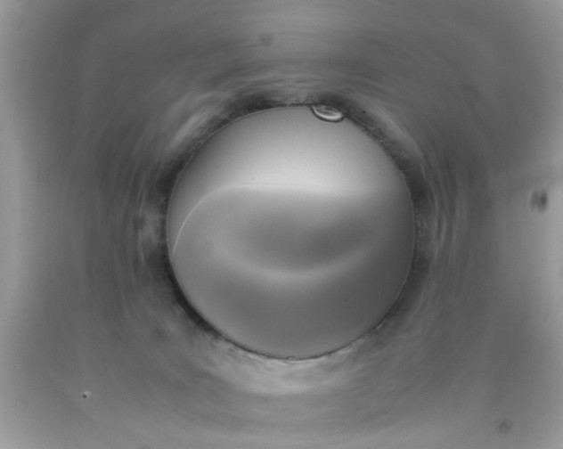 X0000090410035200707272059