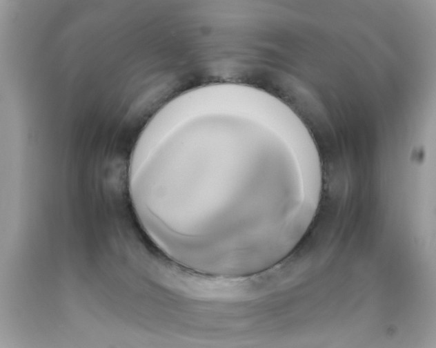 X0000090410036200707272059