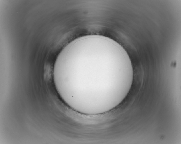 X0000090410038200707272059