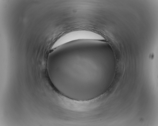 X0000090410039200707272059