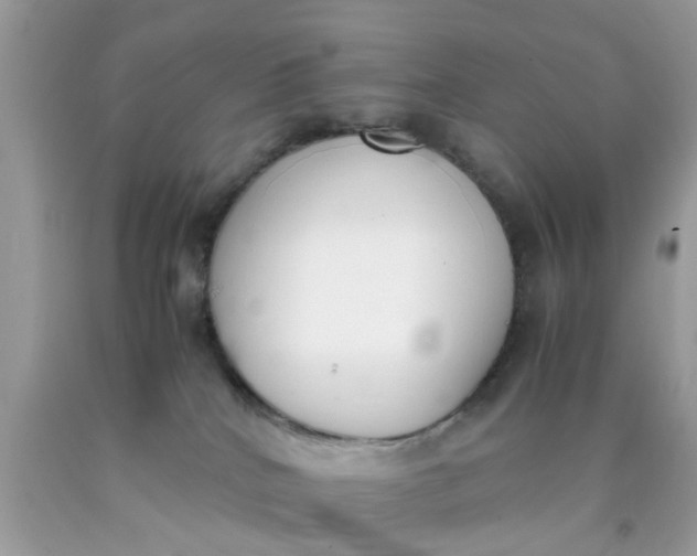 X0000090410040200707272059