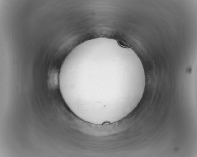 X0000090410042200707272059