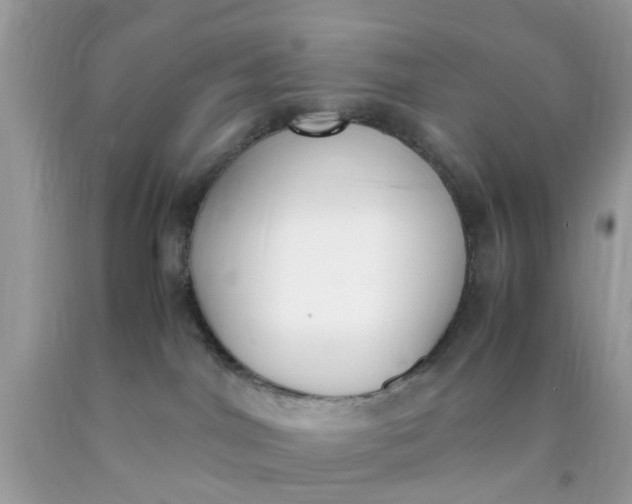 X0000090410044200707272059