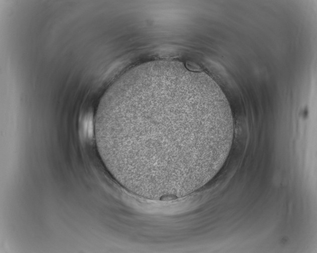 X0000090410046200707272059