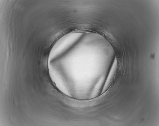 X0000090410047200707272059