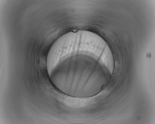 X0000090410048200707272059