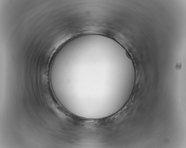 X0000090410050200707272058