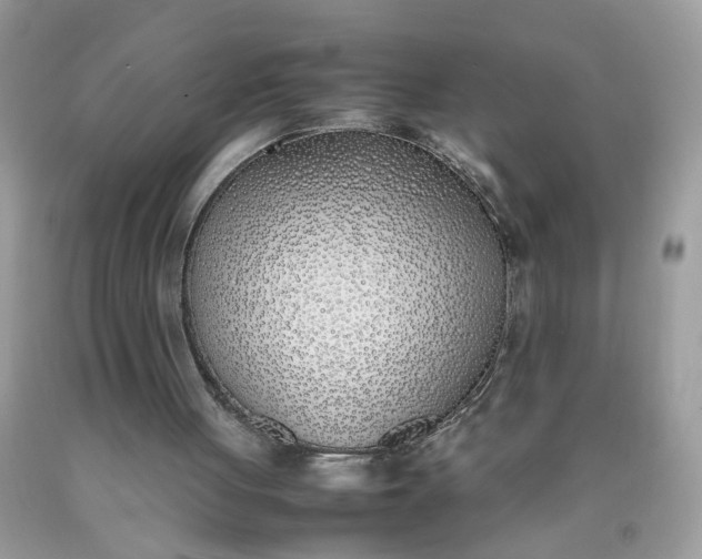 X0000090410051200707272058