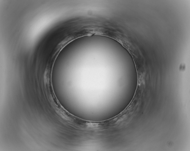 X0000090410052200707272058