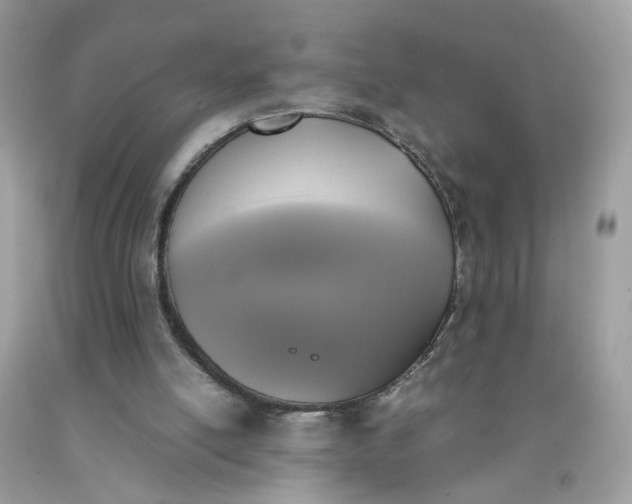 X0000090410054200707272058