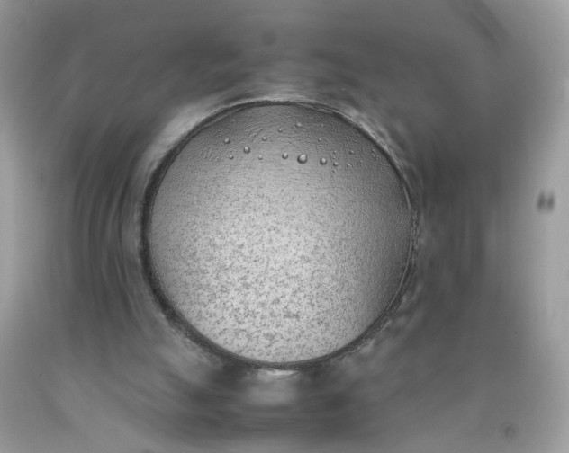 X0000090410055200707272058