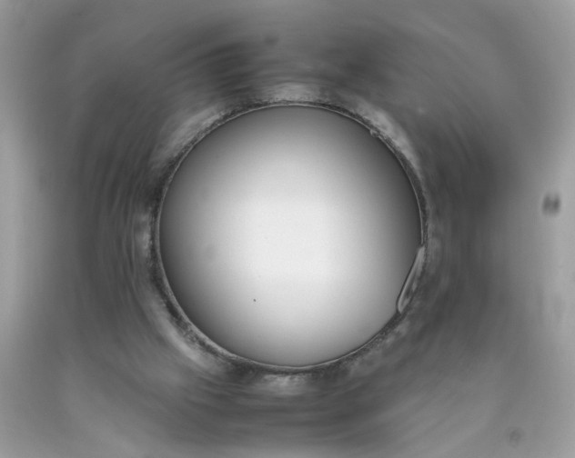 X0000090410057200707272058