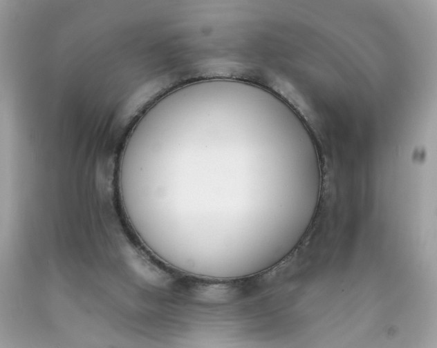 X0000090410058200707272058