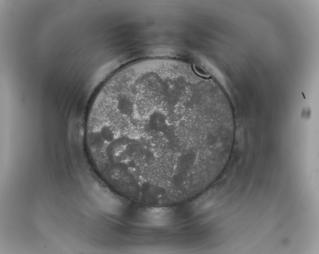 X0000090410059200707272058