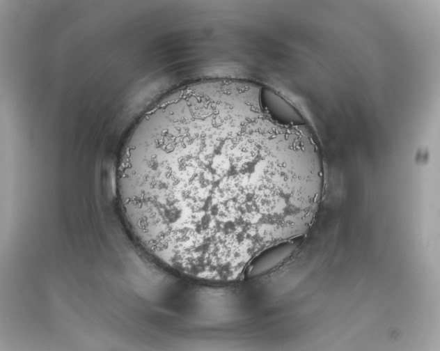 X0000090410061200707272058