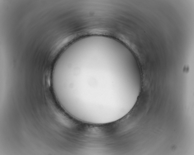 X0000090410062200707272058