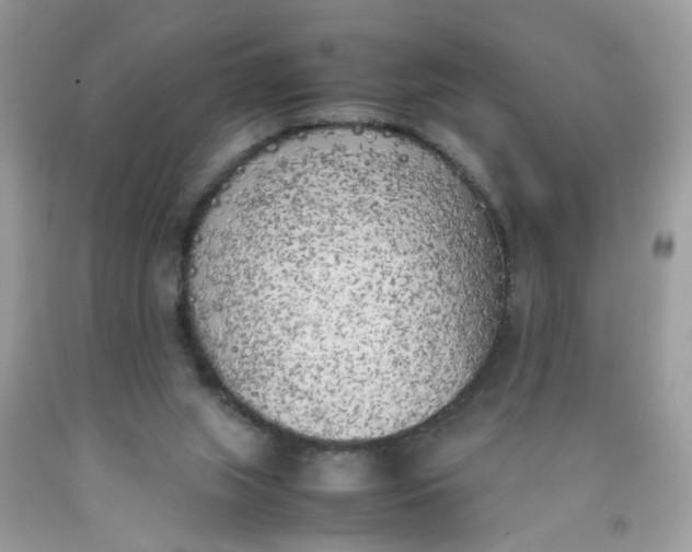X0000090410063200707272058