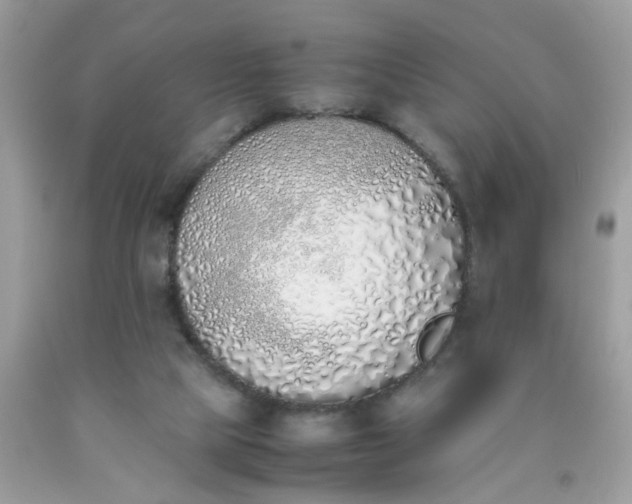X0000090410065200707272058