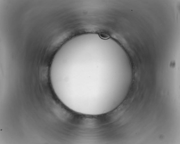 X0000090410066200707272058