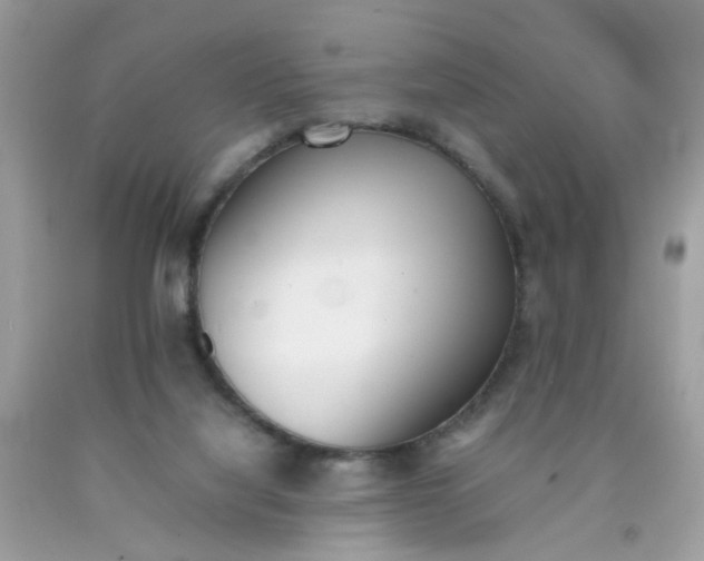 X0000090410068200707272058