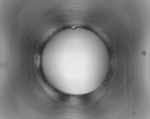 X0000090410070200707272058