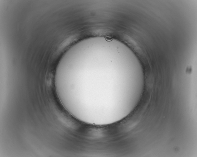 X0000090410071200707272058