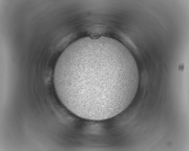 X0000090410073200707272058